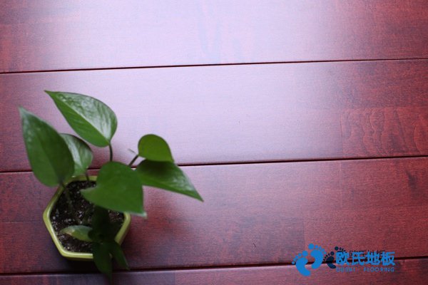 學(xué)?；@球地板的參數(shù)