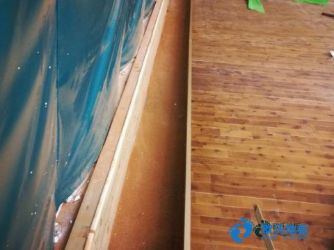 單龍骨運動體育地板保養(yǎng)